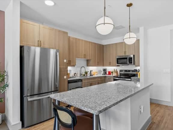 Modern 1BR/1BAPool+Gym| Austin - Image 4
